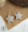 Star Hair pins Pair